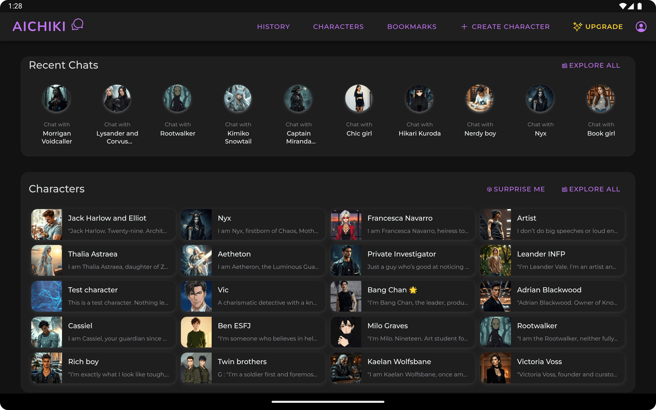 Preview of the application